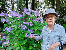 6月 紫陽花鑑賞